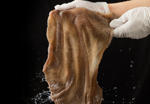 ❄️【GO BOX】大片黑毛肚