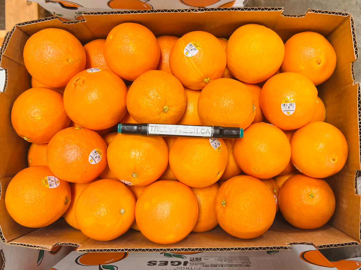 尝鲜价🉐【加州】脐橙