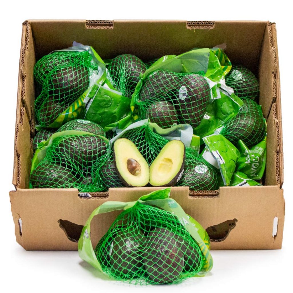 【Mexico】Avocado