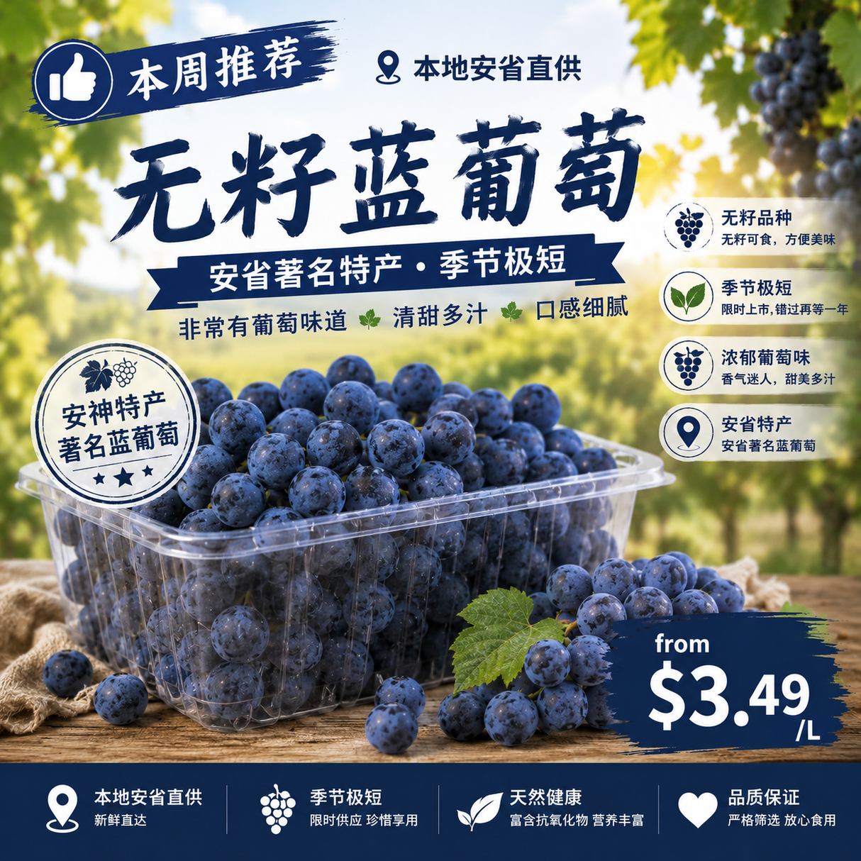 【本地】无籽蓝葡萄