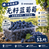 【本地】无籽蓝葡萄