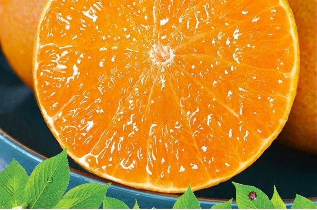 【Red Beauty】Jelly Orange Bulk 6 lbs