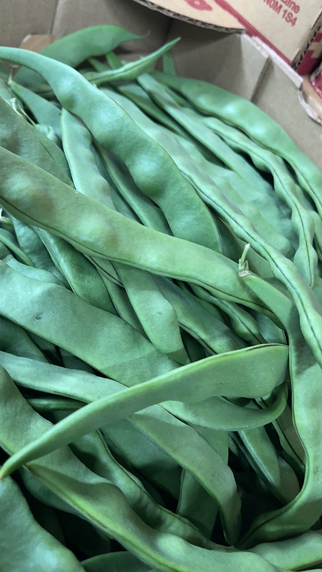 【Local】3 pounds of snap beans