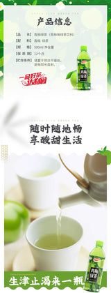【利达园】青梅绿茶 500ml*15