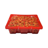 Special offer [Thailand] Longan gift box 1 box 5 pounds