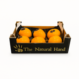 【西班牙】高身柿