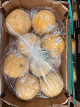 【GALIA】加利亞甜瓜