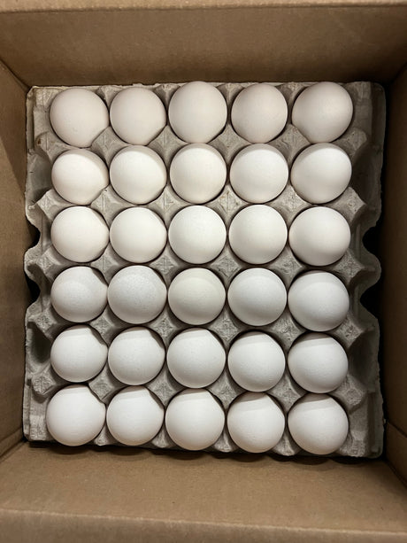 【本地】农场土鸡蛋 XLarge White 1箱180个