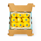 【中国胶东】维纳斯苹果小礼盒 1.35公斤