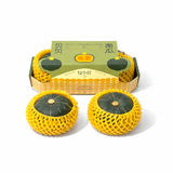 【绿小贝】贝贝南瓜