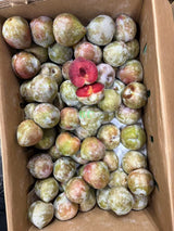 【USA】Sanhua plums 4 pounds