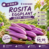 【本地】新鲜茄子（罗西塔）