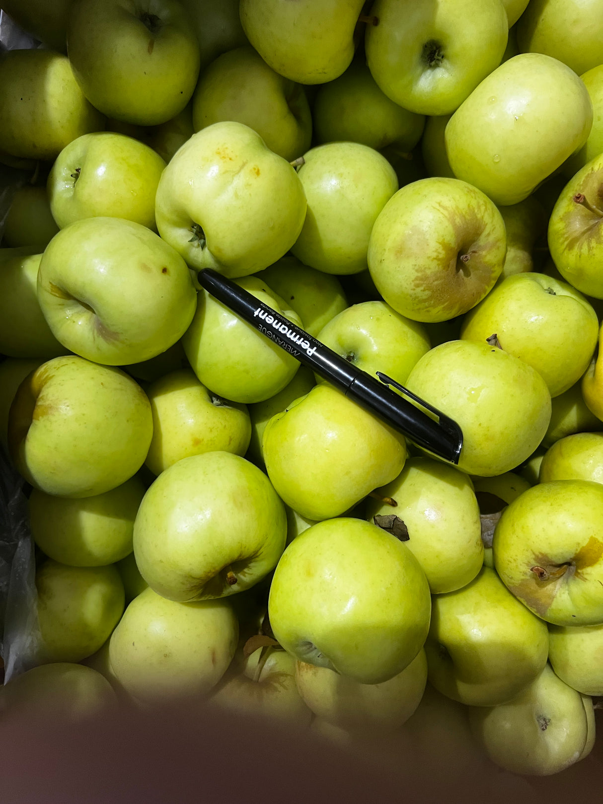 【Local】Yellow Silk Fruit 10 pounds