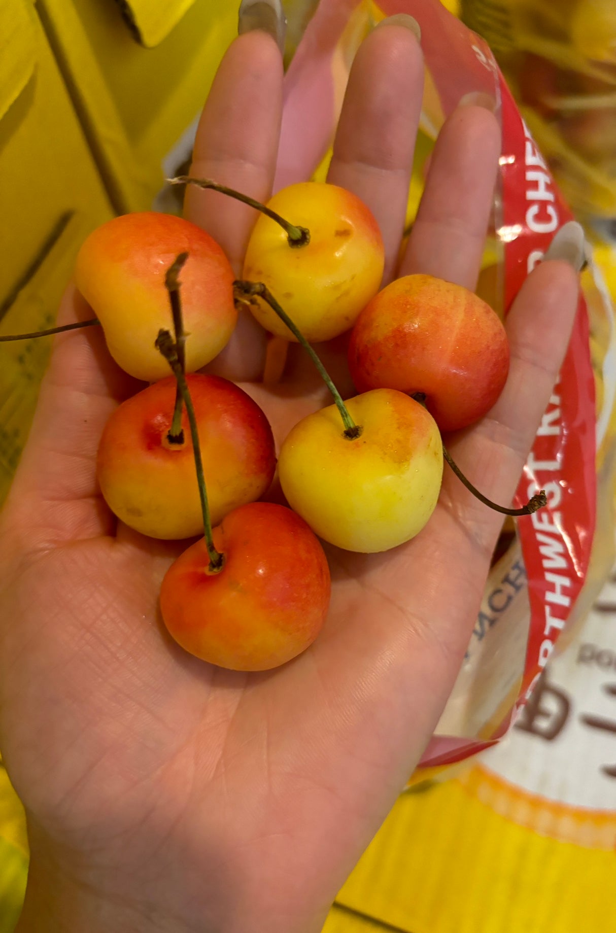 【USA】Rainier Golden Cherries 3 pounds