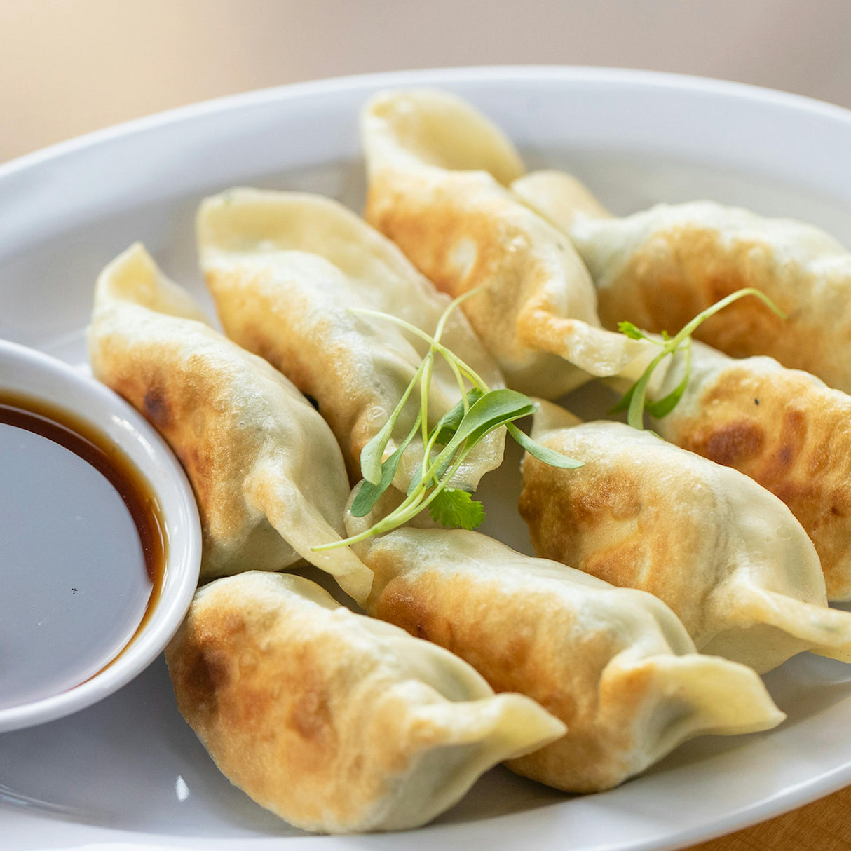 ❄️【SIWIN】Xiwang Chicken and Vegetable Pot Stickers Economy Pack (Not Fully Cooked)
