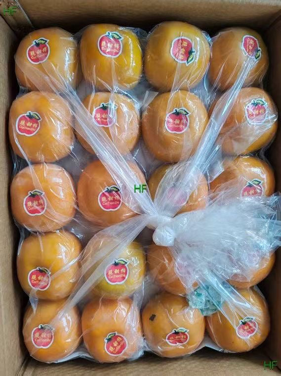 【广西】甜脆柿 1箱22磅