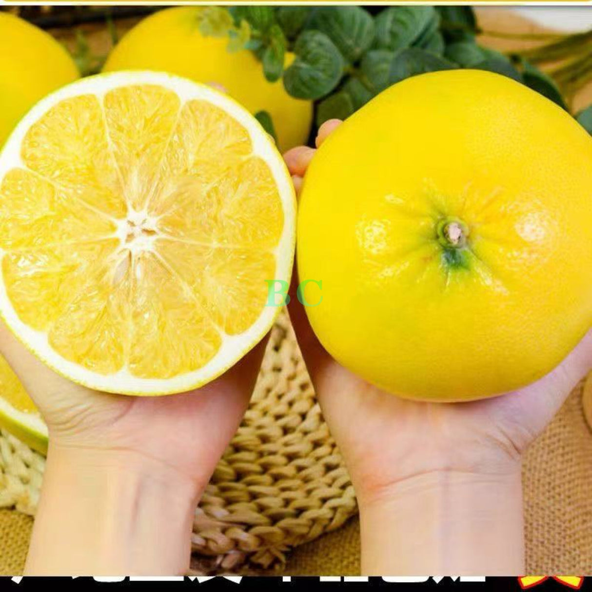 【好友来】葡萄柚 1盒4公斤