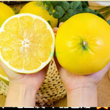 【好友来】葡萄柚 1盒4公斤