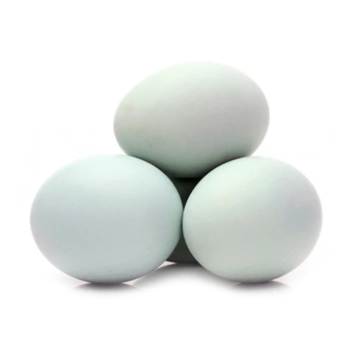 【Local】Farm duck eggs X Large 2 trays 40 pieces