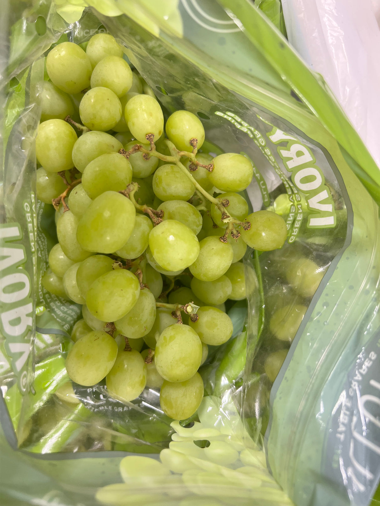 【USA】Seedless Green Grapes 3 lbs