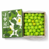 【VOLMATO】白玉脆枣礼盒（牛奶枣） 1盒2.5公斤