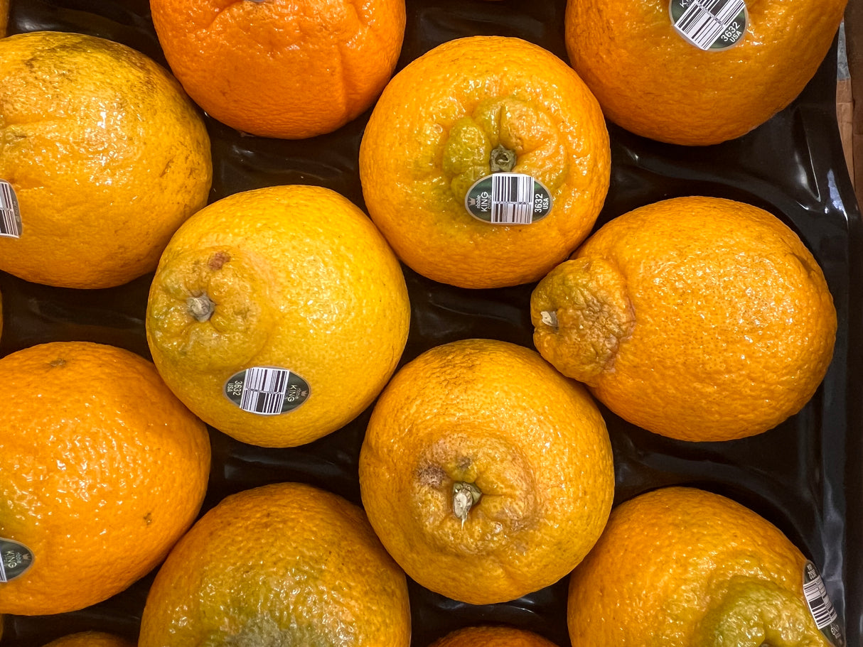 【KING】丑橘 1大箱