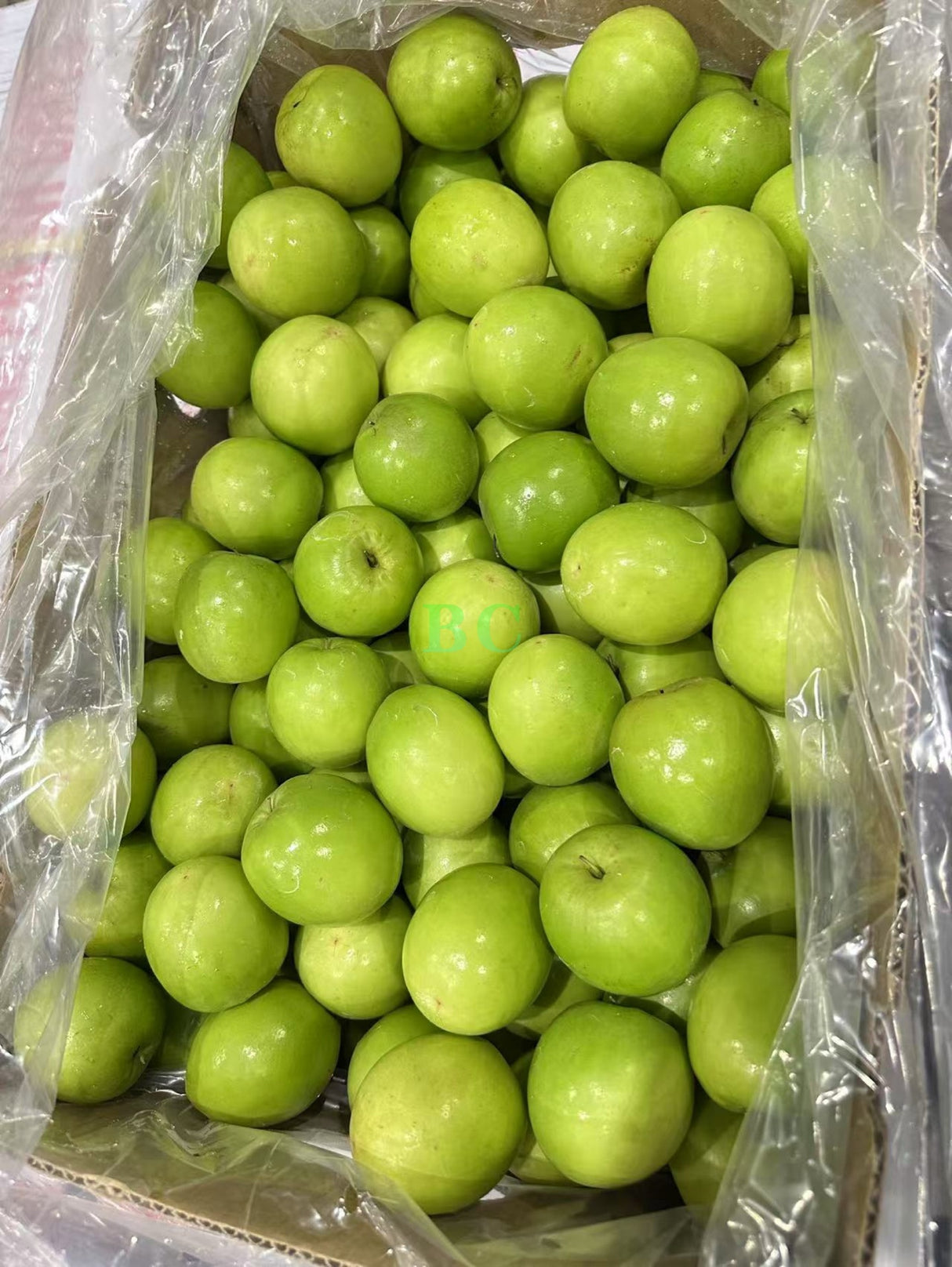 【中国】新鲜牛奶青枣 4磅