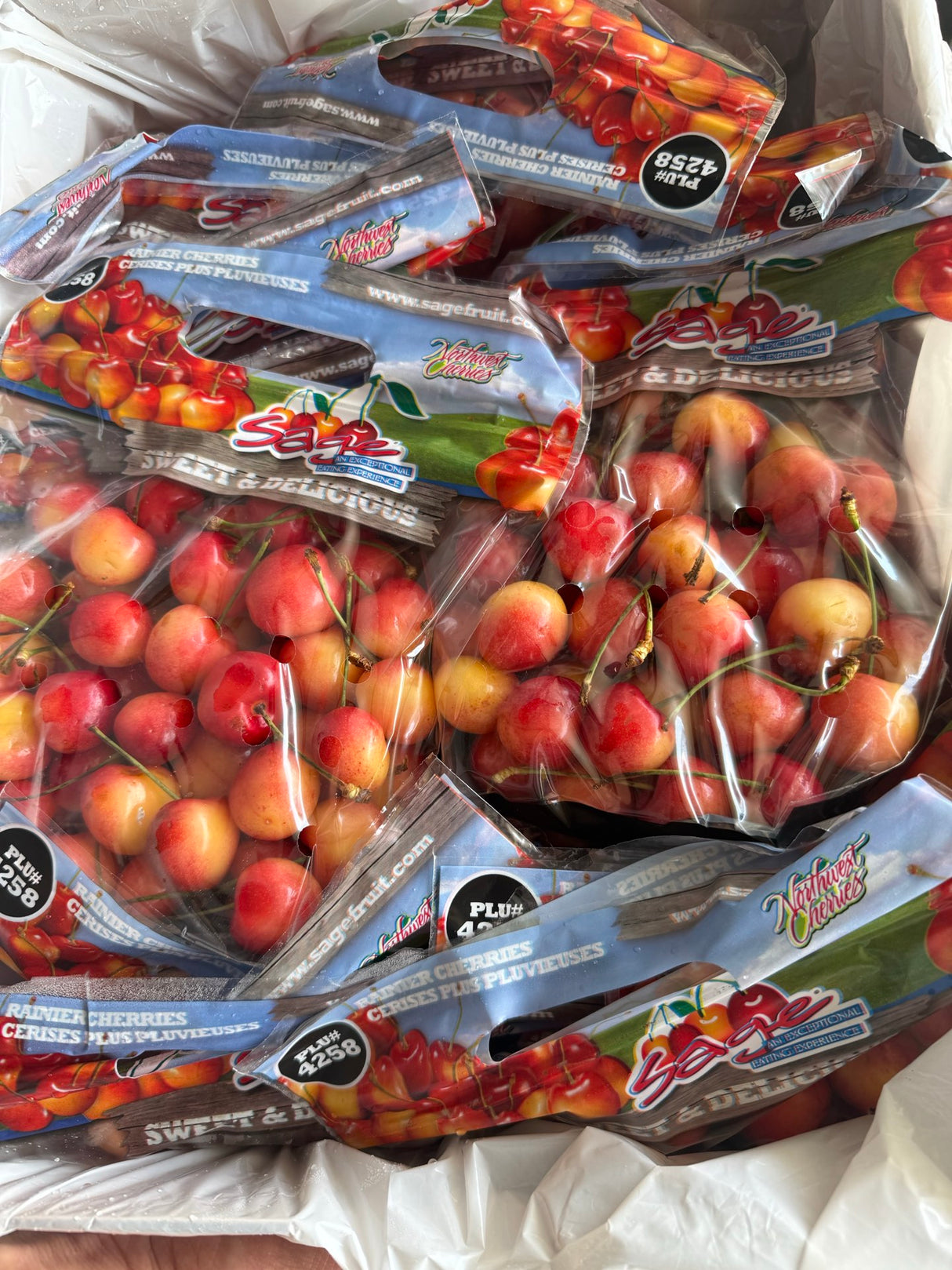 【USA】Rainier Golden Cherries 3 pounds