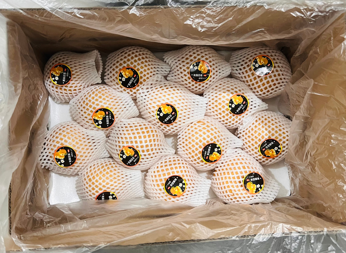 【中华】秋月梨