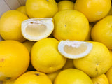 特价【Jaffa】以色列黄金柚 7个