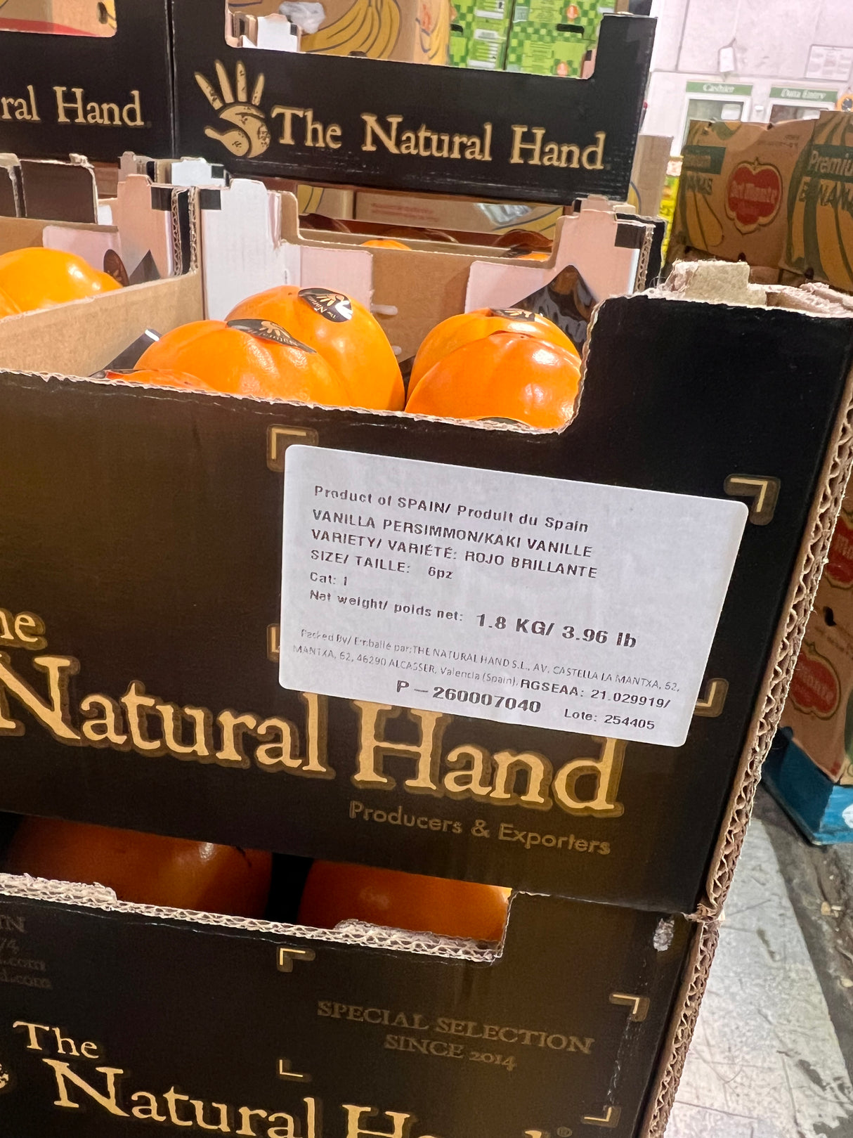 【西班牙】高身柿