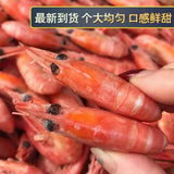 ❄️【加拿大】野生北极甜虾