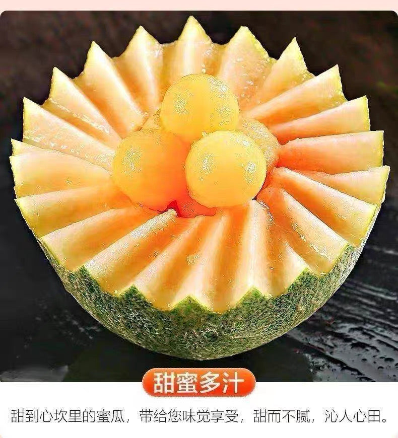 【HAMI】哈密瓜