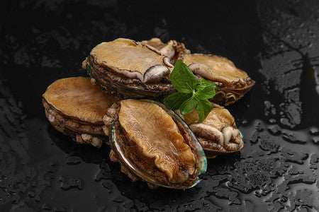 ❄️【GO BOX】Pre-cooked abalone in shell 1kg