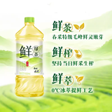 【康师傅】无糖鲜绿茶 500ml*15
