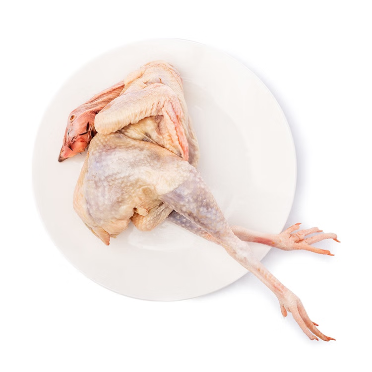 ❄️特价【本地】冰冻黄油走地鸡 16size