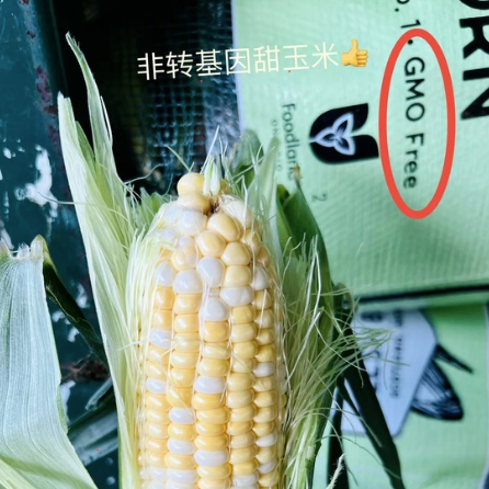 【加拿大】非基因改造甜玉米10根