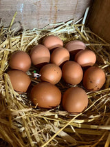 【Local】Farm eggs Large Brown 1 box 180 pieces