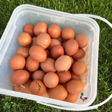 【Local】Farm eggs Large Brown 1 box 180 pieces