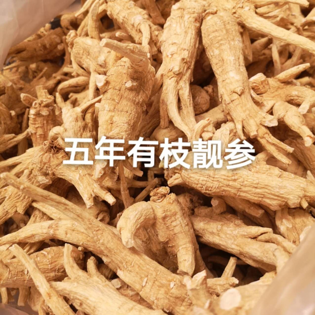 [Ontario] 1 pound of American ginseng over 5 years old