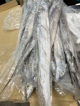 ❄️【North Atlantic】Wild caught hairtail 1 box 22 pounds