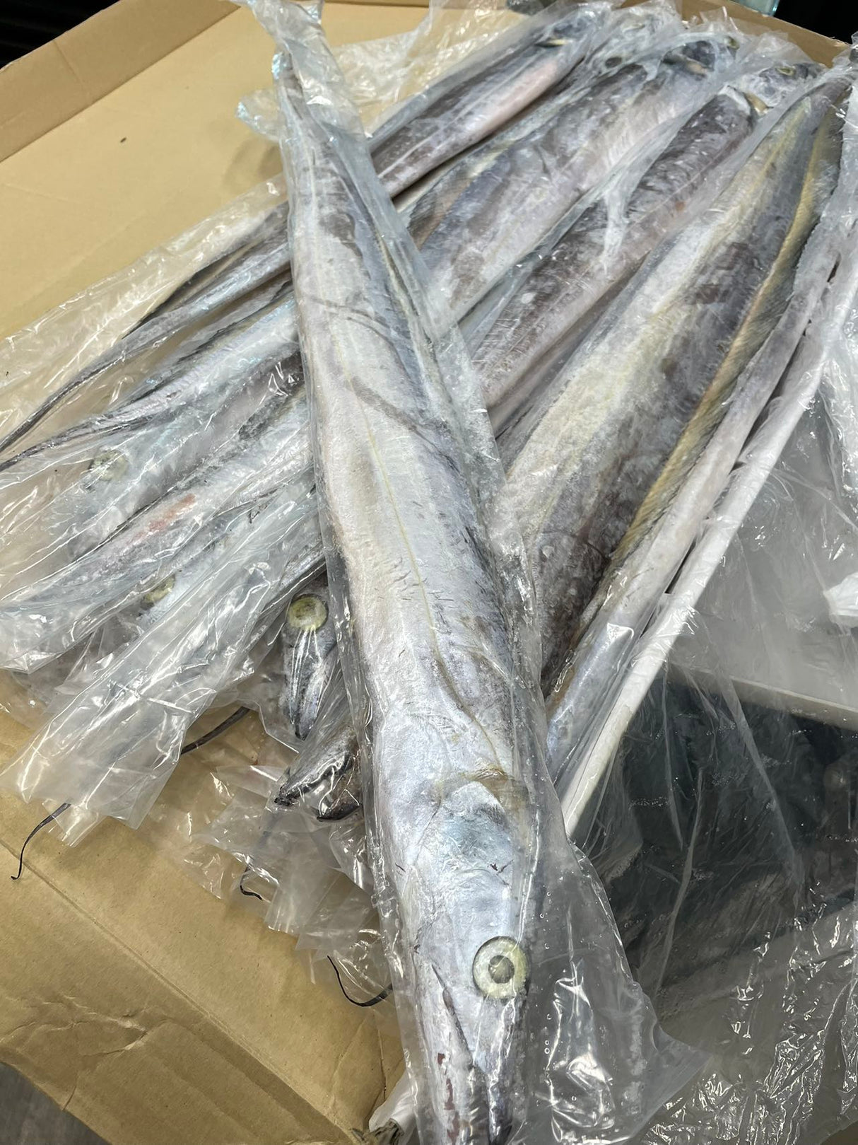 ❄️【North Atlantic】Wild caught hairtail 1 box 22 pounds