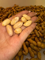 【TRULY FRESH】Fresh peanuts 5 pounds