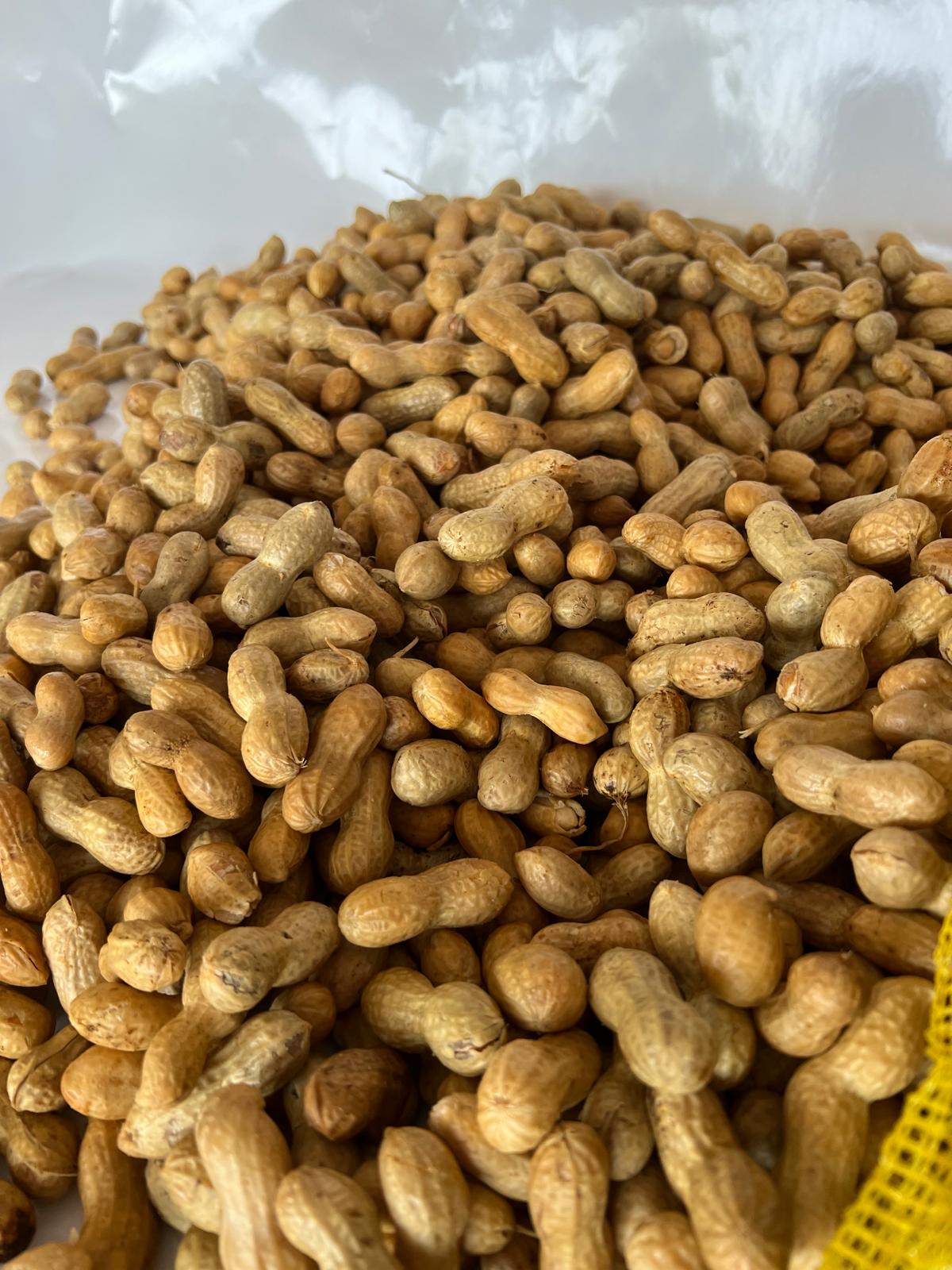 【TRULY FRESH】Fresh peanuts 5 pounds