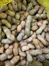 【TRULY FRESH】Fresh peanuts 5 pounds