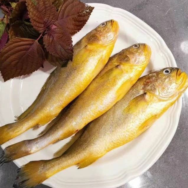 ❄️【Hailing】High-quality yellow croaker 1 box 10 pounds