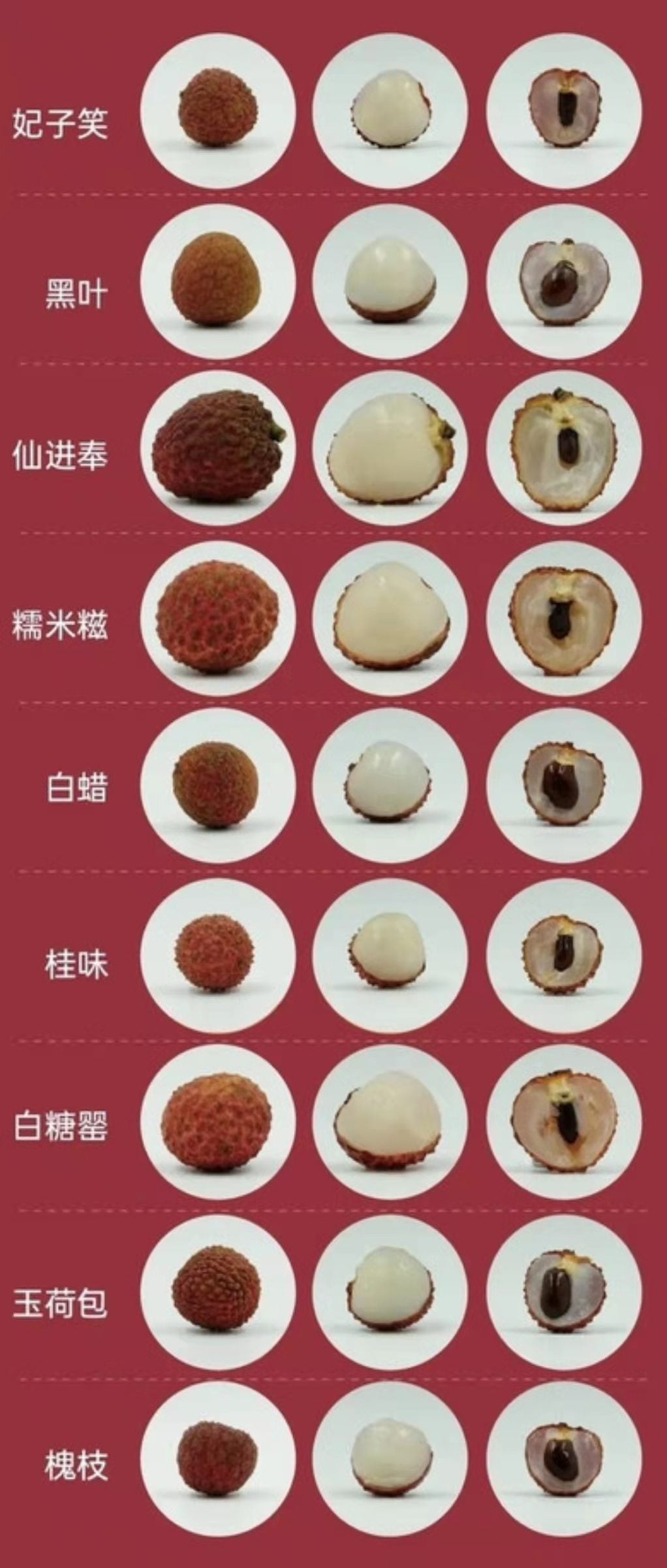 【中国】黑叶荔枝