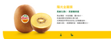 【ZESPRI】黄金猕猴桃