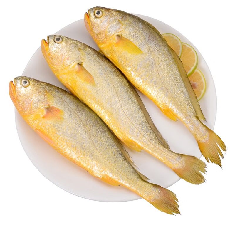 ❄️【Hailing】High-quality yellow croaker 1 box 10 pounds