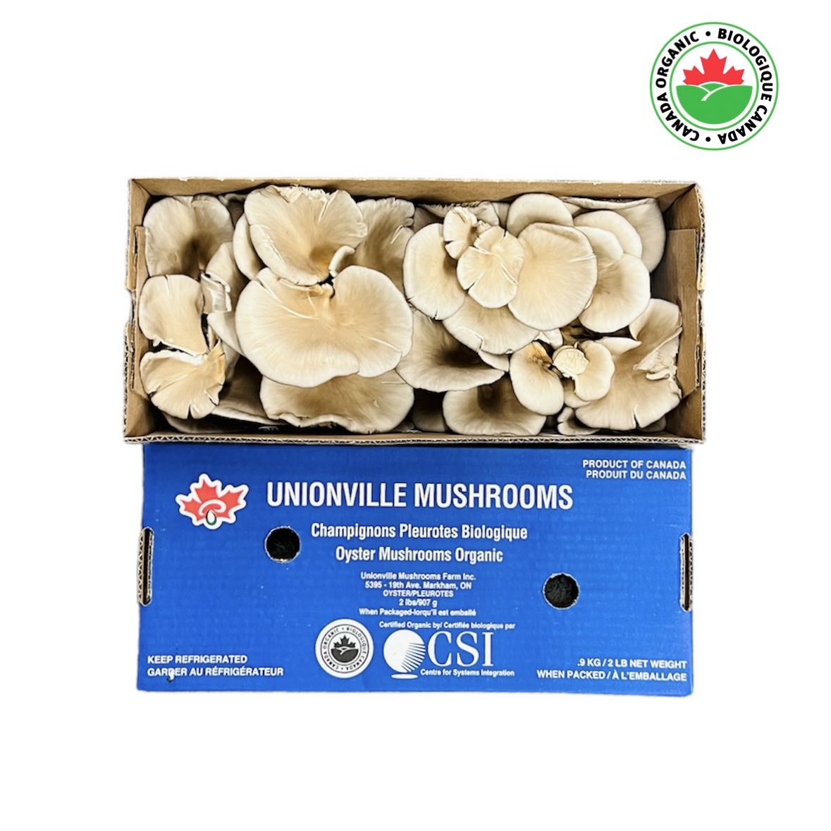 【Local】Organic Oyster Mushrooms 1 Box 2 Pounds